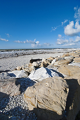 포토 JPG 해외이미지 물결 파도 바다 여행 자연 조류 하늘 바람 날씨 풍경 사람없음 야외 물 관광지 이탈리아 젖음 위험 폭풍 흐림 토스카나 스플래쉬 수평선 해외202004 해외포토 자연요소 동물 유럽 컨셉 생태계 파일형식 이미지허브