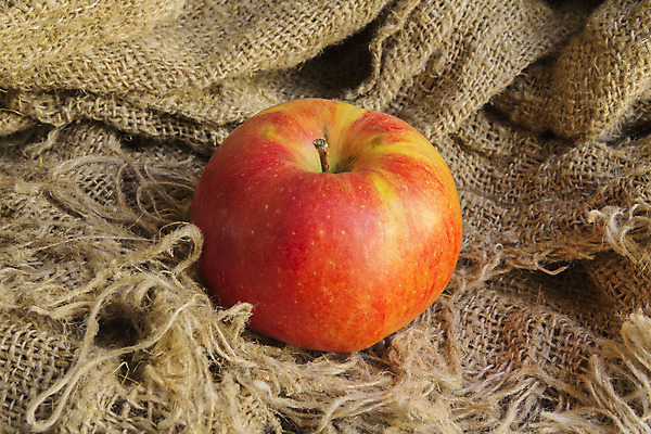 포토 JPG 해외이미지 음식 백그라운드 과일 표면 실내 건강 사람없음 빨간색 갈색 노란색 시골 직물 신선 면 그룹 중앙 사과 먹기 삼베 순수 오브젝트 질감 심플 캔버스 섬유 무료 아마 해외202004 해외포토 꽃 컬러 컨셉 모션 내부 파일형식 천_직물 이미지허브