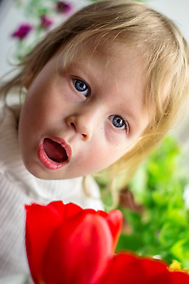 포토 JPG 해외이미지 식물 1 라이프스타일 여자 꽃 행복 감정 아들 얼굴 어린이 꽃다발 백그라운드 컨셉 자연 휴가 선물 한명 사람 소년 빨간색 금발 봄 기쁨 튤립 아기 진짜 유일 해외202004 해외포토 헤어스타일 계절 남자 컬러 가족 생활 신체부위 생태계 파일형식 이미지허브