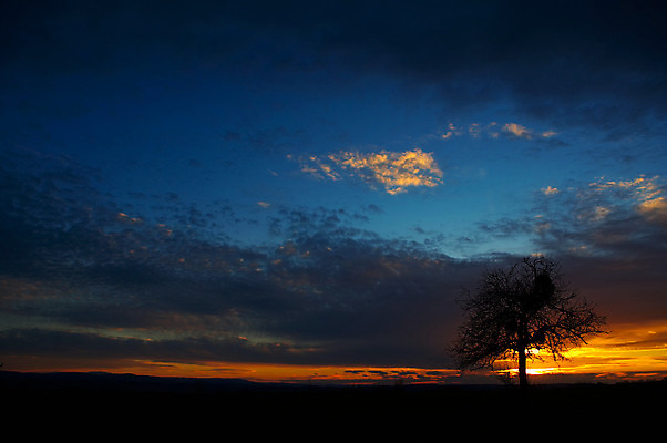포토 JPG 해외이미지 나무 구름 계절 공원 백그라운드 밭 오렌지 자연 하늘 날씨 풍경 사람없음 야외 파란색 빛 컬러풀 태양 평화 일출 일몰 봄 시골 신선 황무지 저녁 장면 내추럴 생태학 혼자 수평선 해외202004 해외포토 자연요소 식물 공공시설 교육 컬러 컨셉 농업 과일 노을 야간 생태계 파일형식 이미지허브