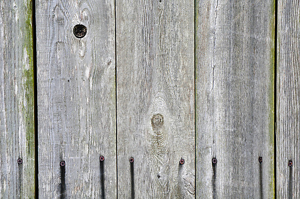 포토 JPG 해외이미지 주간 문화 백그라운드 출입구 미술 사람없음 목재 장식 태양 갈색 문 맑음 손톱 부식 핸드메이드 해외202004 해외포토 자연요소 나무 손 컬러 재료 날씨 문화예술 파일형식 이미지허브