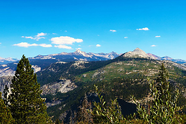 포토 JPG 해외이미지 나무 계절 공원 여행 자연 하늘 산 풍경 사람없음 목재 여름 파란색 여행객 계곡 미국 침묵 봄 소나무 숲 땅 캘리포니아 장면 내추럴 넘어짐 절정 해외202004 해외포토 식물 공공시설 컬러 북아메리카 재료 모션 사람 소리 생태계 파일형식 이미지허브