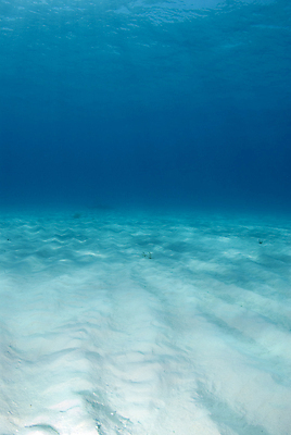 포토 JPG 해외이미지 모래 파도 바다 백그라운드 자연 바닥 사람없음 물 파란색 수중 다이빙 소금 대서양 바하마 소금물 침몰 해외202004 해외포토 자연요소 컬러 수영 생태계 수중스포츠 파일형식 이미지허브