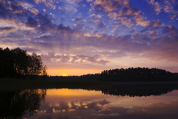 포토 JPG 해외이미지 나무 구름 실루엣 유럽 오렌지 자연 하늘 아침 날씨 풍경 사람없음 물 여름 파란색 빛 햇빛 태양 반사 노란색 평화 일출 침묵 황혼 일몰 새벽 광선 숲 흐림 폴란드 웅장함 수평선 해외202004 해외포토 주간 자연요소 식물 계절 나라 컬러 컨셉 과일 촬영기법 노을 소리 생태계 파일형식 이미지허브