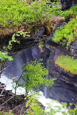 포토 JPG 해외이미지 나무 모션 자연 산 노르웨이 풍경 사람없음 초록색 물 여름 파란색 강 힘 폭포 흐름 바위 흰색 개울 급류 숲 속도 빙하 지역 북쪽 스칸디나비아 터키석 현재 해외202004 해외포토 자연요소 식물 계절 유럽 컬러 컨셉 돌_바위 보석 방향 생태계 파일형식 이미지허브