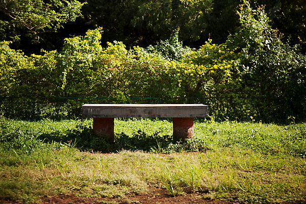 포토 JPG 해외이미지 나무 공원 벤치 사람없음 초록색 햇빛 흙 시멘트 땅바닥 해외202004 해외포토 식물 공공시설 컬러 의자 바닥 태양 파일형식 이미지허브