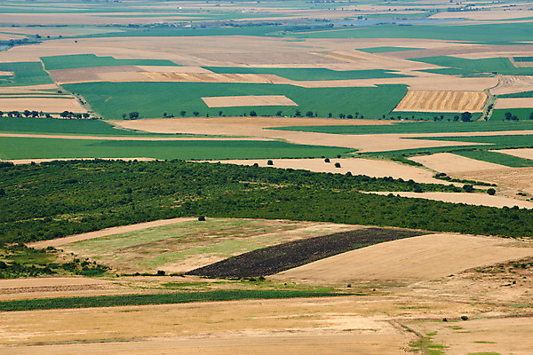 포토 JPG 해외이미지 계절 밭 농업 풍경 사람없음 여름 농작물 뜨거움 땅 불가리아 자취 수평선 해외202004 해외포토 산업 파일형식 남유럽 이미지허브