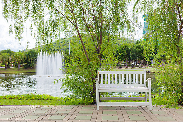 포토 JPG 해외이미지 나무 식물 계절 공원 호수 잎 의자 자연 산 그림자 풍경 사람없음 야외 초록색 물 여름 빛 정원 봄 숲 분수 내추럴 전국 해외202004 해외포토 자연요소 공공시설 컬러 가구 생태계 파일형식 이미지허브