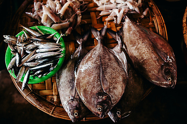 포토 JPG 해외이미지 전통 문화 조각 비즈니스 자연 거리 어류 요리 동양인 사람없음 세일 얼음 여러개 젖음 신선 도시 시장 자르기 참치 해산물 베트남 지역 고등어 소매 이국적 차이나타운 해외202004 해외포토 자연요소 다수 모션 인종 관광지 동남아시아 수중동물 생태계 파일형식 이미지허브