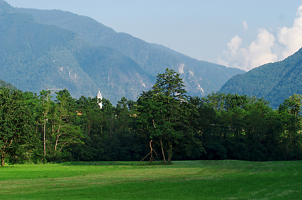포토 JPG 해외이미지 식물 유럽 여행 자연 산 풍경 사람없음 초록색 여름 파란색 환경 계곡 맑음 성장 신선 스위스 언덕 생물학 알프스 해외202004 해외포토 계절 교육 나라 컬러 날씨 생태계 파일형식 이미지허브