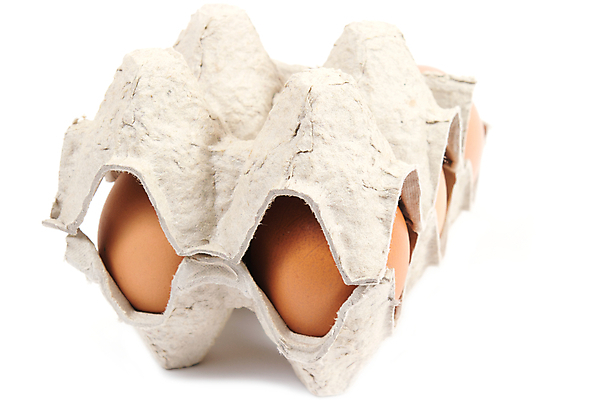 포토 JPG 해외이미지 음식 백그라운드 세포 건강 사람없음 갈색 계란 저녁식사 치킨 흰색 신선 그룹 컨테이너 먹기 팩 패키지 오믈렛 판지 고립 생식 식용 해외202004 해외포토 산업 컬러 모션 알 식사 화장품 계란요리 닭고기요리 파일형식 이미지허브