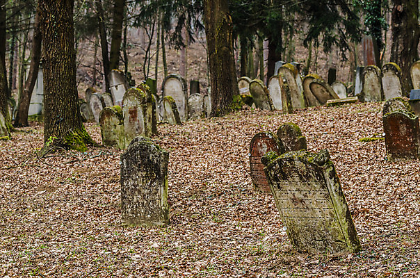 포토 JPG 해외이미지 꽃 기독교 종교 지구 백그라운드 십자가 부활절 사람없음 목재 조각상 검은색 성경 바위 기도 죽음 예수 영혼 목사 심볼 애도 신성 땅파기 신앙심 옛날 장례식 오싹 해외202004 해외포토 나무 식물 기념일 컬러 재료 종교용품 조형물 신_종교 성직자 파일형식 이미지허브