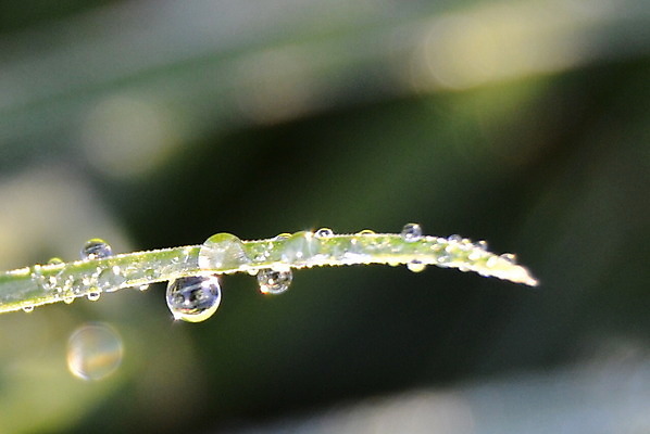 포토 JPG 해외이미지 사람없음 물방울 해외202004 해외포토 파일형식 이미지허브