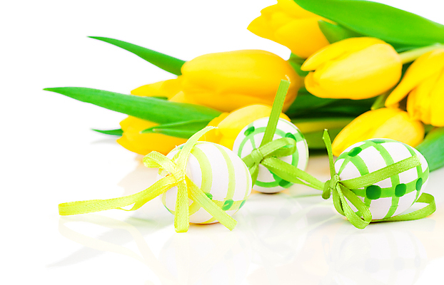 포토 JPG 해외이미지 전통 접시 디자인 계절 꽃 행복 음식 백그라운드 탁자 휴가 부활절 사람없음 장식 초록색 컬러풀 노란색 계란 봄 튤립 흰색 그리기 둥지 4월 다발 심볼 고립 해외202004 해외포토 식물 식기 기념일 감정 컬러 가구 모션 알 날짜 파일형식 이미지허브