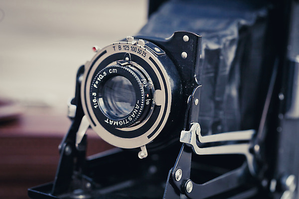 포토 JPG 해외이미지 디자인 백그라운드 사람없음 수확 필름 오브젝트 복고 셔터 스타일 해외202004 해외포토 농업 파일형식 이미지허브