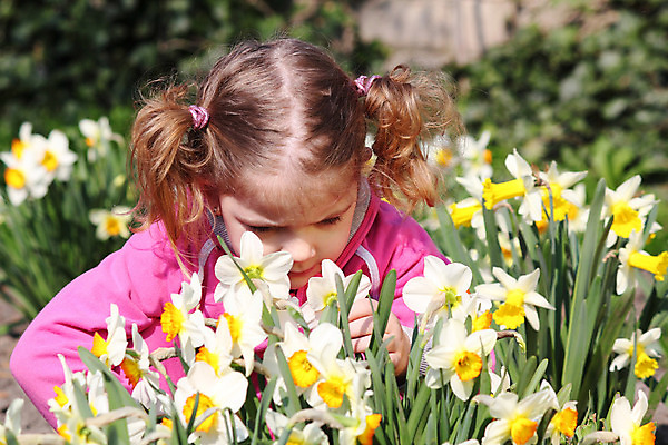 포토 JPG 해외이미지 식물 백인 여자 꽃 어린이 자연 한명 야외 초록색 정원 봄 흰색 달콤 냄새 해외202004 해외포토 서양인 1 계절 컬러 사람 맛 생태계 파일형식 이미지허브