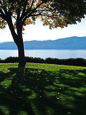 포토 JPG 해외이미지 나무 구름 공원 실루엣 호수 바다 여행 자연 하늘 아침 휴가 산 그림자 풍경 사람없음 야외 가로 초록색 물 여름 파란색 강 반사 침묵 바위 숲 언덕 장면 지역 내추럴 전국 해외202004 해외포토 주간 자연요소 식물 계절 공공시설 컬러 촬영기법 소리 돌_바위 생태계 파일형식 이미지허브
