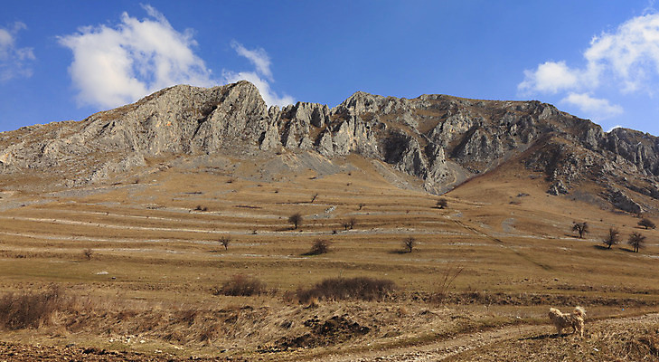 포토 JPG 해외이미지 동물 벽 여행 백그라운드 포유류 자연 하늘 산 풍경 경사 사람없음 야외 파란색 봄 트래킹 절벽 하이킹 가을 개 파편 작음 큼 돌산 암초 안심 루마니아 내추럴 절정 트란실바니아 해외202004 해외포토 계절 유럽 컬러 레저 육류 크기 생태계 파일형식 이미지허브