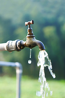 포토 JPG 해외이미지 음료 백그라운드 자연 손잡이 사람없음 야외 초록색 물 여름 빛 달리기 환경 금속 정원 젖음 흐름 추위 수확 가을 물방울 신선 오픈 액체 떨어짐 갈증 철 부식 수도꼭지 분무기 내추럴 압력 옛날 철강 해외202004 해외포토 자연요소 계절 컬러 컨셉 농업 모션 재질 생태계 파일형식 이미지허브