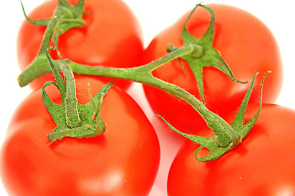 포토 JPG 해외이미지 식물 음식 백그라운드 농업 다이어트 토마토 채소 과일 재료 자연 건강 요리 사람없음 빨간색 초록색 정원 식사 샐러드 흰색 신선 원형 시장 닫기 맛 떨어짐 먹기 향신료 싱글 유기농 날것 내추럴 고립 숙성 채식주의자 해외202004 해외포토 도형 웰빙 산업 컬러 컨셉 모션 생태계 채식 향미료 파일형식 이미지허브