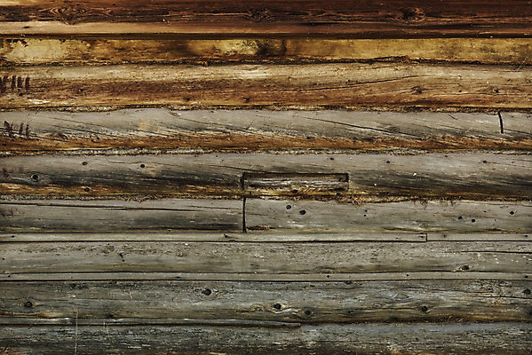 포토 JPG 해외이미지 나무 백그라운드 근접촬영 사람없음 목재 갈색 질감 카피스페이스 해외202004 해외포토 식물 뷰포인트 컬러 재료 공백 파일형식 이미지허브