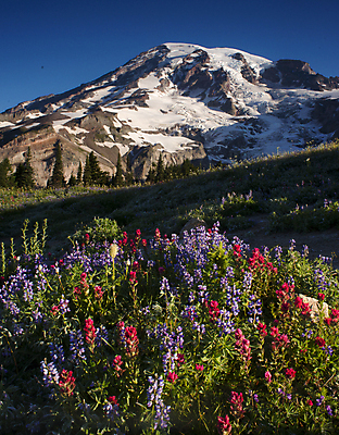 포토 JPG 해외이미지 주간 식물 공원 꽃 북아메리카 아침 산 국립공원 풍경 경사 사람없음 야외 여름 컬러풀 계곡 새벽 산책로 성장 벚꽃 잡초 개화 빙하 내추럴 파라다이스 해외202004 해외포토 자연요소 계절 공공시설 길 컬러 아메리카 파일형식 이미지허브