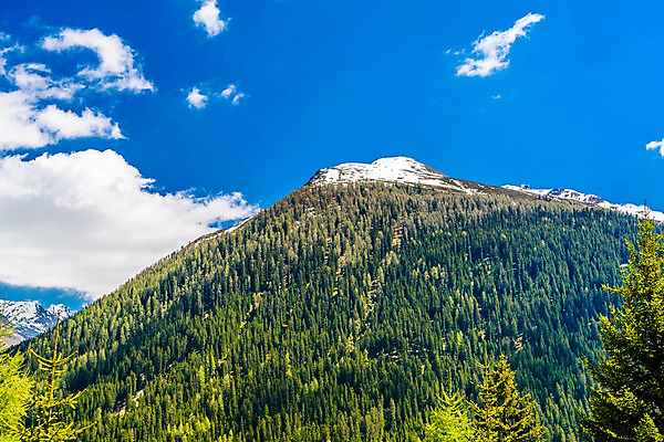포토 JPG 해외이미지 나무 구름 계절 공원 여행 백그라운드 자연 아침 날씨 산 그림자 풍경 경사 사람없음 야외 가로 초록색 물 여름 환경 검은색 어둠 새벽 안개 소나무 황무지 보호 숲 신비 무서움 언덕 공상 상록수 내추럴 그린란드 보헤미아 뿌연 해외202004 해외포토 주간 자연요소 식물 공공시설 감정 컬러 섬 컨셉 덴마크 생태계 파일형식 이미지허브