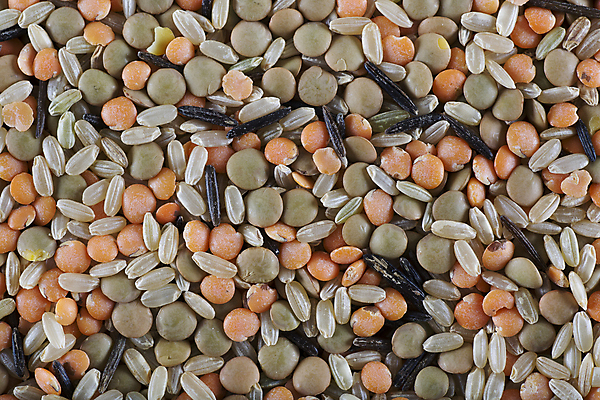 포토 JPG 해외이미지 식물 음식 백그라운드 채소 재료 밥 콩 사람없음 낟알 유기농 날것 단백질 채식주의자 해외202004 해외포토 웰빙 곡류 채식 영양소 파일형식 이미지허브