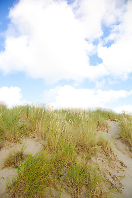 포토 JPG 해외이미지 식물 구름 모래 바다 백그라운드 자연 하늘 바람 휴가 휴식 풍경 사람없음 야외 초록색 여름 파란색 햇빛 맑음 모래언덕 내추럴 해외202004 해외포토 자연요소 계절 컬러 컨셉 날씨 태양 언덕 생태계 파일형식 이미지허브