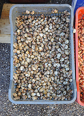 포토 JPG 해외이미지 동물 잡화 음식 사람없음 시장 작음 나무상자 다발 달팽이 성분 식용 해외202004 해외포토 연체동물 상자 크기 파일형식 이미지허브