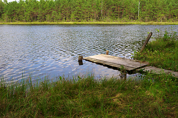 포토 JPG 해외이미지 호수 백그라운드 자연 아침 추상 풍경 사람없음 목재 물 강 햇빛 반사 평화 환경 항구 침묵 고요 새벽 꿈 젖음 시간 신비 생태학 옛날 해외202004 해외포토 주간 자연요소 나무 교육 컨셉 무늬 재료 교통시설 태양 소리 생태계 파일형식 이미지허브