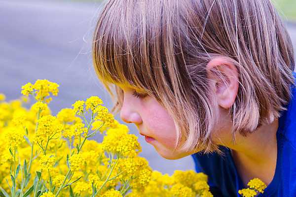 포토 JPG 해외이미지 식물 백인 1 계절 여자 꽃 행복 얼굴 어린이 꽃무늬 자연 놀이 한명 사람 청년 야외 파란색 컬러풀 금발 노란색 정원 봄 기쁨 달콤 냄새 내추럴 천진난만 혼자 해외202004 해외포토 서양인 헤어스타일 감정 컬러 컨셉 무늬 성인 신체부위 맛 생태계 파일형식 이미지허브