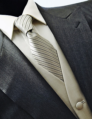 포토 JPG 해외이미지 직업 옷 웨딩드레스 셔츠 곡선 비즈니스 교실 성공 결혼식 넥타이 정장 사람없음 유행 재킷 코트 잡기 비즈니스맨 우아함 질감 스타일 해외202004 해외포토 잡화 드레스 교육 남자 선 결혼 컨셉 상의 학교 모션 외투 직장인 파일형식 이미지허브