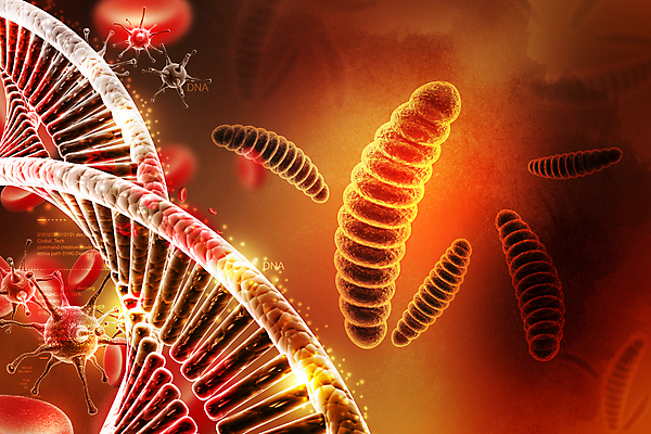 포토 JPG 해외이미지 모양 과학 추상 실험 사람 사람없음 빨간색 약 3D 건강관리 바이러스 닫기 확대 질병 작음 유기농 생물학 만들기 암 박테리아 에이즈 여의주 유전 전염병 해외202004 해외포토 웰빙 교육 컬러 무늬 의학 모션 건강 관리 크기 디지털합성 파일형식 이미지허브