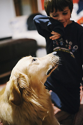 포토 JPG 해외이미지 동물 백인 라이프스타일 여자 행복 어린이 포옹 놀이 주택 함께함 실내 사랑 한명 친구 반려동물 우정 황금 개 리트리버 달콤 돌봄 해외202004 해외포토 서양인 1 감정 컨셉 포유류 관계 안기 모션 사람 내부 건물 생활 맛 파일형식 이미지허브