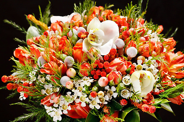 포토 JPG 해외이미지 식물 꽃잎 꽃 분홍색 꽃다발 결혼 잎 꽃무늬 오렌지 엄마 발렌타인데이 선물 사랑 사람없음 장식 빨간색 초록색 장미 갈색 노란색 검은색 봄 벚꽃 신선 난초 백합 다발 데이지 양귀비 약혼 해외202004 해외포토 계절 감정 컬러 무늬 과일 가족 데이이벤트 이벤트 약속 파일형식 이미지허브