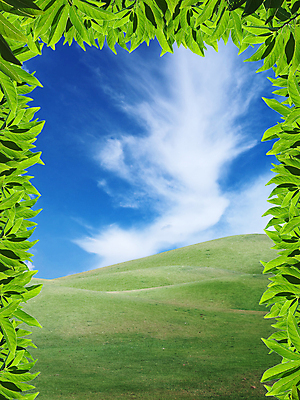 포토 JPG 해외이미지 식물 구름 계절 공원 백그라운드 잎 패턴 밭 농업 자연 벽지 하늘 바람 날씨 추상 출입구 프레임 미술 풍경 잔디 사람없음 야외 여름 빛 문 환경 봄 시골 신선 허브 언덕 에코 질감 지역 광합성 땅바닥 생태학 파라다이스 해외202004 해외포토 자연요소 공공시설 교육 산업 무늬 문화예술 바닥 생태계 파일형식 이미지허브