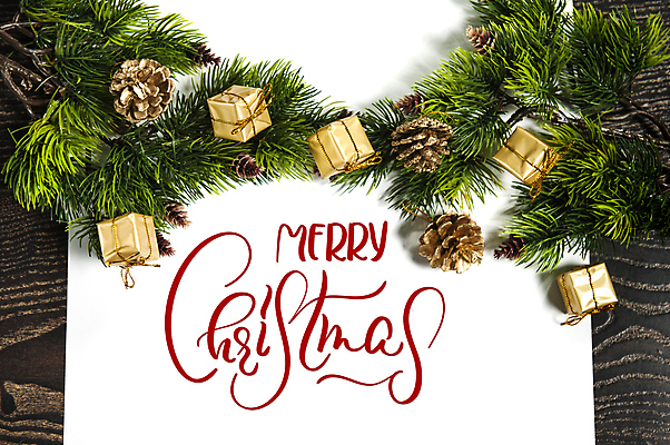포토 JPG 해외이미지 백그라운드 크리스마스 사람없음 축하 메시지 솔방울 솔잎 레터링 해외202004 해외포토 기념일 컨셉 잎 파일형식 이미지허브