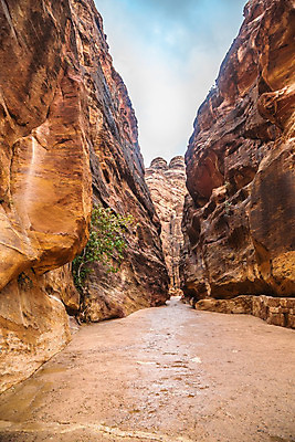 포토 JPG 해외이미지 아시아 문화 벽 조각 여행 백그라운드 건축양식 자연 미술 풍경 사람없음 야외 건물 컬러풀 골짜기 골동품 바위 도시 사찰 역사 동굴 재산 중앙 신비 아라비아 기념물 동쪽 랜드마크 소셜 옛날 요르단 전설 파멸 해외202004 해외포토 건축물 건축 나라 컬러 컨셉 중동 종교건축 문화예술 금융 돌_바위 방향 생태계 파일형식 소멸 이미지허브