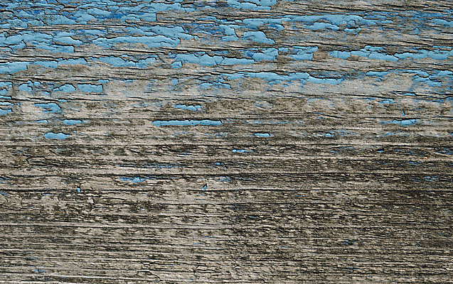 포토 JPG 해외이미지 벽 백그라운드 패턴 자연 표면 추상 사람없음 목재 파란색 페인트 거친 널 질감 그런지 수목 옛날 해외202004 해외포토 나무 컬러 무늬 재료 생태계 파일형식 이미지허브