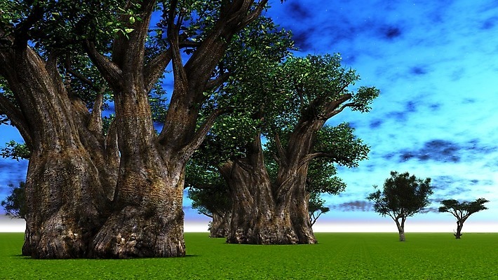 포토 JPG 해외이미지 모양 나무 식물 공원 실루엣 야생동물 여행 오렌지 아프리카 자연 하늘 풍경 사람없음 야외 파란색 빛 세트 세계 태양 노란색 일출 환경 황혼 일몰 나뭇가지 원주민 큼 제비꽃 사파리 윤곽 내추럴 마다가스카르 사바나 옛날 이국적 전국 해외202004 해외포토 자연요소 동물 공공시설 꽃 나라 컬러 과일 촬영기법 노을 아프리카인 크기 생태계 파일형식 이미지허브