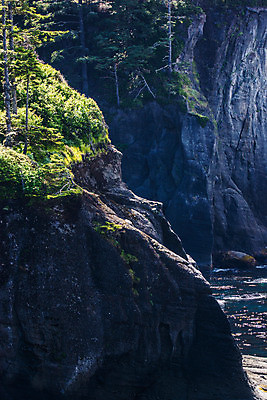 포토 JPG 해외이미지 나무 바다 풍경 사람없음 물 절벽 태평양 암초 워싱턴 해외202004 해외포토 자연요소 식물 미국 파일형식 이미지허브
