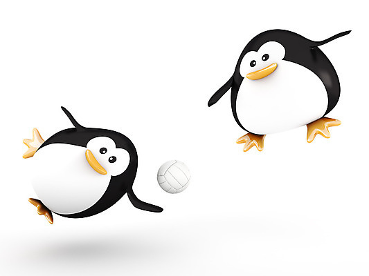 포토 JPG 해외이미지 동물 캐릭터 스포츠 포즈 올림픽 공 모션 놀이 조류 실내 사람없음 점프 힘 경쟁 게임 배구 펭귄 챔피언 플레이어 해외202004 해외포토 컨셉 내부 구기 파일형식 이미지허브