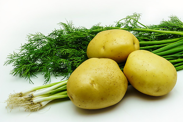 포토 JPG 해외이미지 계절 음식 백그라운드 컨셉 잎 채소 재료 탁자 가지 양파 오이 프레임 건강 요리 사람없음 목재 빨간색 초록색 상자 세일 우주 상점 저녁식사 침묵 당근 샐러드 흰색 신선 그룹 달콤 상추 먹기 오브젝트 유기농 원예 양배추 날것 지역 추수감사절 국산 유지 슈퍼마켓 점심식사 고립 딜 밭일 비트 숙성 주키니 채식주의자 총각무 회향 비건 해외202004 해외포토 나무 식물 웰빙 기독교 컬러 가구 모션 뿌리채소 취미 식사 소리 맛 무 채식 파일형식 이미지허브