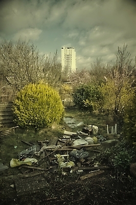 포토 JPG 해외이미지 나무 식물 자연 날씨 주택 사람없음 건물 환경 정원 수확 시골 파편 오두막 신비 폐허 원예 복고 마법 낭비 그런지 썩음 옛날 판잣집 필터 해외202004 해외포토 건축물 컨셉 농업 취미 생태계 파일형식 이미지허브