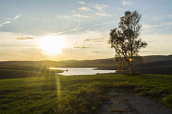 포토 JPG 해외이미지 나무 구름 계절 호수 백그라운드 자연 하늘 아침 풍경 사람없음 야외 초록색 물 여름 파란색 빛 컬러풀 햇빛 태양 반사 노란색 평화 일출 침묵 고요 일몰 봄 새벽 거울 시골 저녁 장면 내추럴 수평선 해외202004 해외포토 주간 자연요소 식물 컬러 컨셉 노을 소리 야간 생태계 파일형식 이미지허브