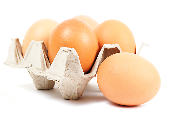 포토 JPG 해외이미지 음식 백그라운드 세포 건강 사람없음 갈색 계란 저녁식사 치킨 흰색 신선 그룹 컨테이너 먹기 팩 패키지 오믈렛 판지 고립 생식 식용 해외202004 해외포토 산업 컬러 모션 알 식사 화장품 계란요리 닭고기요리 파일형식 이미지허브