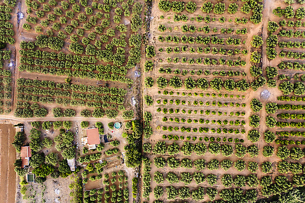 포토 JPG 해외이미지 식물 계절 산업 지구 여행 백그라운드 패턴 밭 농업 자연 하늘 안테나 풍경 사람없음 야외 초록색 여름 농작물 농장 농경지 환경 봄 수확 성장 시골 정상 땅 유기농 질감 내추럴 드론 밭일 세련 해외202004 해외포토 웰빙 컬러 무늬 통신 생태계 파일형식 이미지허브