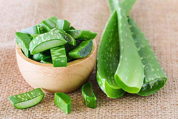 포토 JPG 해외이미지 식물 얼굴 조각 백그라운드 잎 자연 건강 사람없음 목재 치료 초록색 물 약 스파 화장품 신선 가시 허브 삼베 순수 피부관리 유기농 성분 내추럴 돌봄 알로에 해외202004 해외포토 자연요소 나무 웰빙 컬러 컨셉 재료 의학 모션 신체부위 뷰티 생태계 파일형식 천_직물 이미지허브