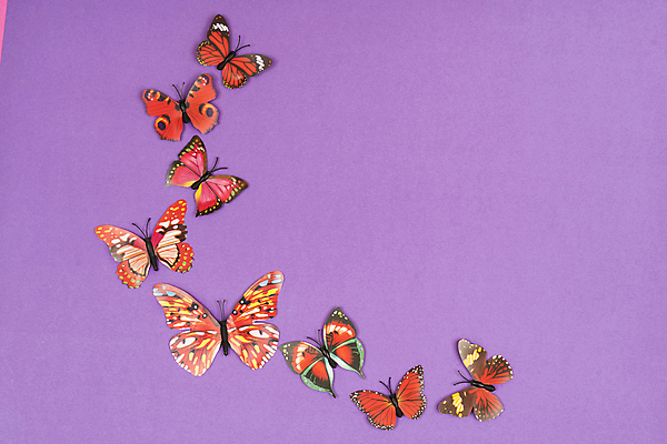 포토 JPG 해외이미지 디자인 배너 꽃 선 나비 곤충 백그라운드 컨셉 꽃무늬 패턴 날개 일러스트 자연 벽지 추상 선물 미술 성인 사람없음 그래픽 장식 책 여름 빛 컬러풀 유행 봄 공백 수확 신용카드 낙서 문신 심볼 그림 질감 엘리먼트 스타일 해외202004 해외포토 식물 동물 계절 컬러 무늬 농업 문화예술 사람 금융 생태계 파일형식 이미지허브